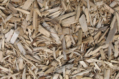 biomass boilers Lincluden